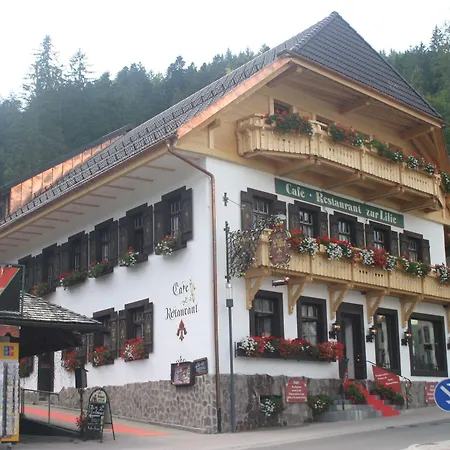 Affittacamere Gaestehaus Zur Lilie 3*