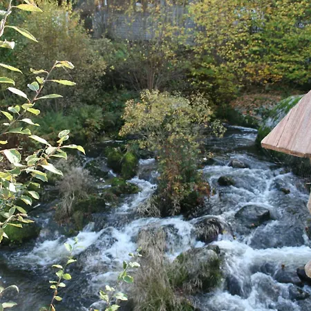 Gaestehaus Zur Lilie Pensionat