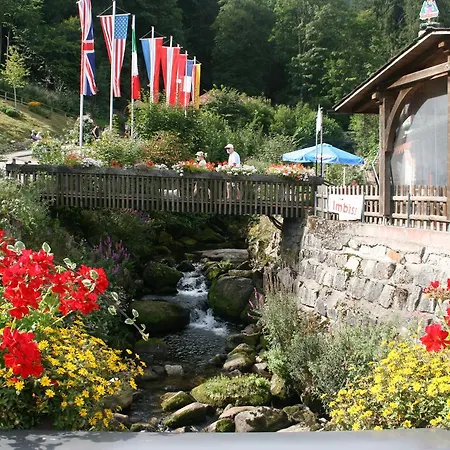 Guest house Gaestehaus Zur Lilie Triberg im Schwarzwald