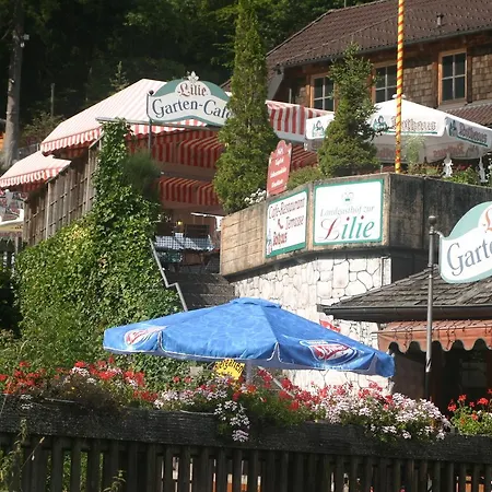 Gaestehaus Zur Lilie Guest house 3*