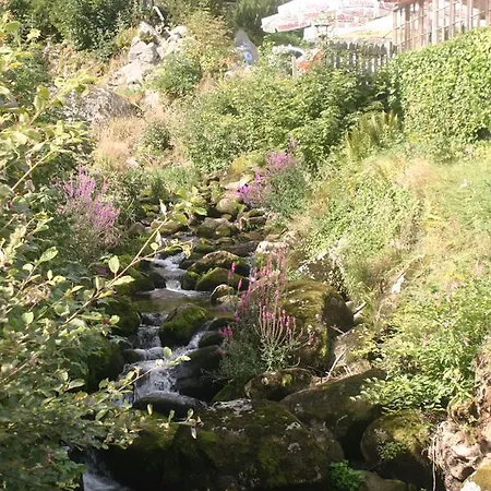 Gaestehaus Zur Lilie Triberg im Schwarzwald